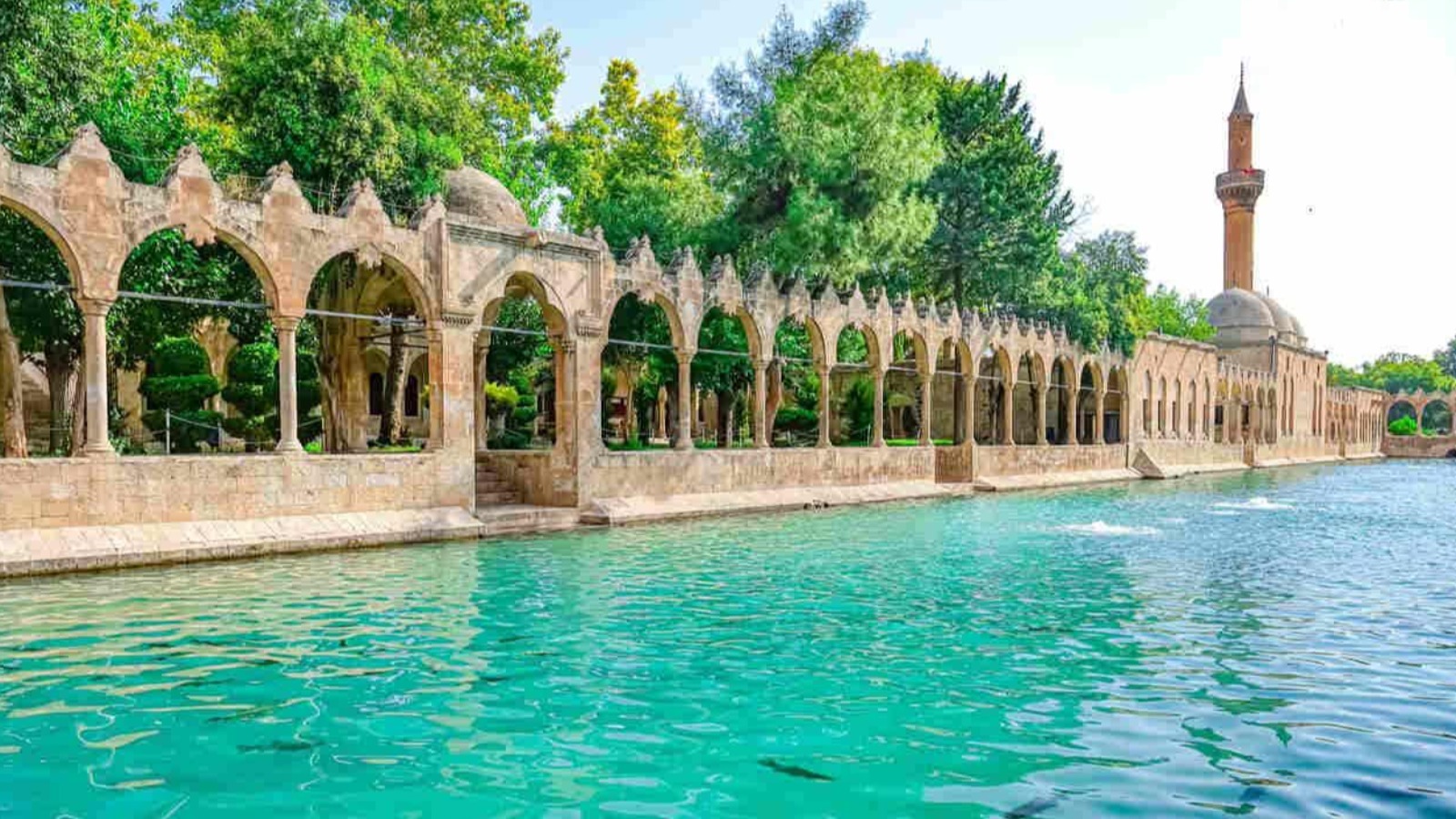 Şanlıurfa İhracatını Geliştirme Eğitim Merkezi